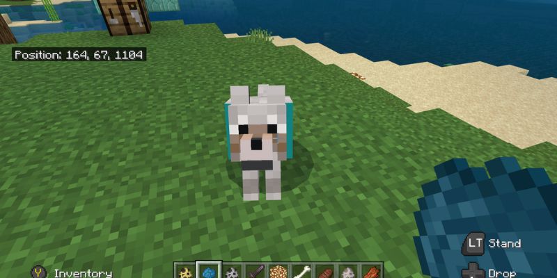 How Do You Tame a Wolf or a Cat in Minecraft?
